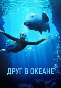 Друг в океане 2022