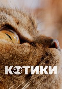 Котики 2022 фильм