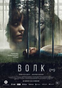 Волк 2021