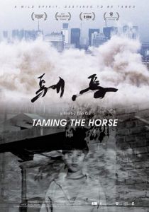 Taming the Horse 2017