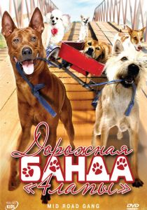 Дорожная банда «4 лапы» 2007
