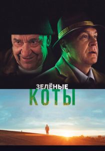 Зелёные коты 2017