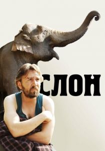 Слон 2010