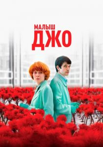 Малыш Джо 2019