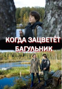 Когда зацветёт багульник 2010