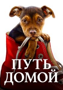 Путь домой 2019