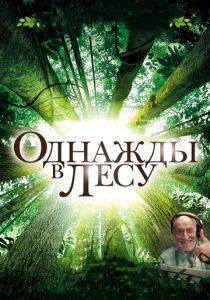 Однажды в лесу 2013