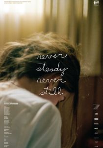 Never Steady, Never Still 2017