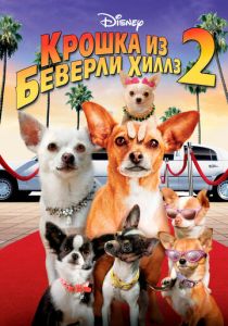 Крошка из Беверли-Хиллз 2 2010