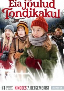 Рождество Эйи в Лесу призрачной совы 2018