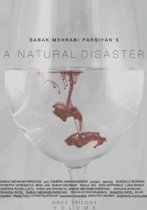 A Natural Disaster 2016