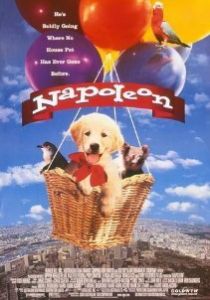 Наполеон 1995