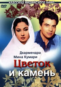 Цветок и камень 1966