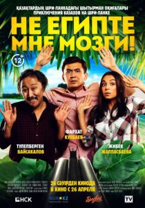 Не египте мне мозги! 2018