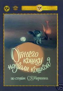 Отчего кошку назвали кошкой 1982