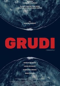 Grudi 2020