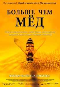 Больше чем мед 2012