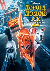 Дорога домой 2: Затерянные в Сан-Франциско 1996
