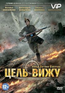 Цель вижу 2013