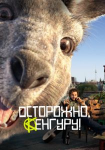 Осторожно, Кенгуру! 2020