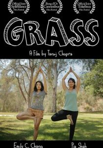 Grass 2017