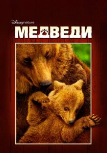 Медведи 2014
