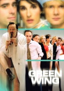 Сериал Зеленое крыло 2004