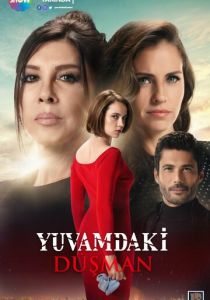 Сериал Враг в моем доме 2018