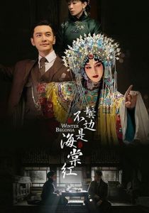 Сериал Зимняя бегония 2020