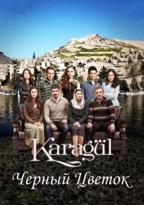 Сериал Чёрный цветок 2013