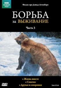 Сериал BBC: Борьба за выживание 1990
