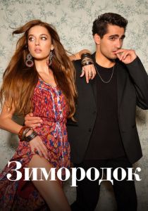Сериал Зимородок 2022