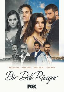 Сериал Сумасшедший ветер 2018