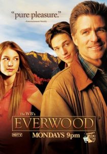 Сериал Любовь вдовца 2002