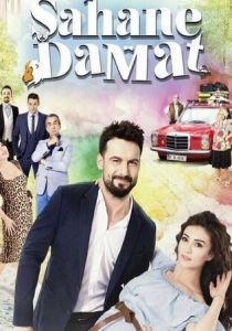 Сериал Замечательный зять 2016