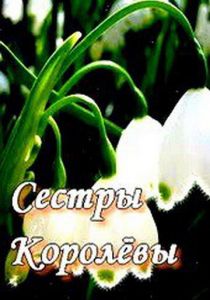 Сериал Сестры Королевы 2010