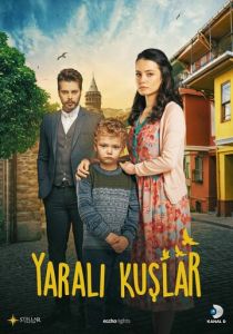 Сериал Раненые птицы 2019