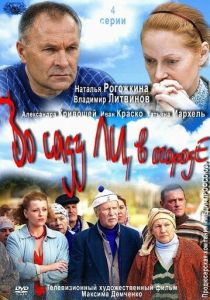 Сериал Во саду ли, в огороде 2012