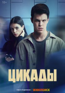 Цикады 2023