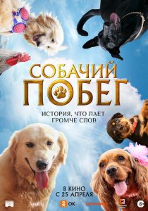 Собачий побег 2023