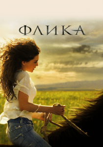 Флика 2006