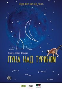 Луна над Турином 2013