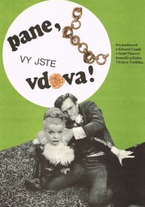 Пан, вы вдова 1971