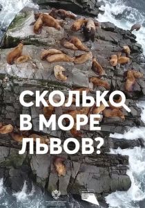 Сколько в море львов? 2018