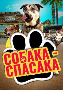Собаки спешат на помощь 2016
