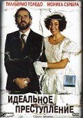 Идеальное преступление 2004