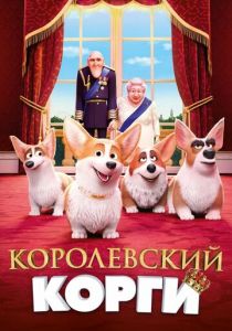 Королевский корги 2019