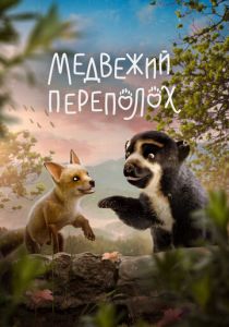 Медвежий переполох 2023