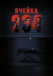 Ячейка 234 2024