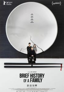 Краткая история семьи 2024